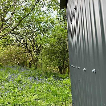 Cornwall Woodland Shepherd'S Hut - Dennis Hut Bodmin Exterior photo