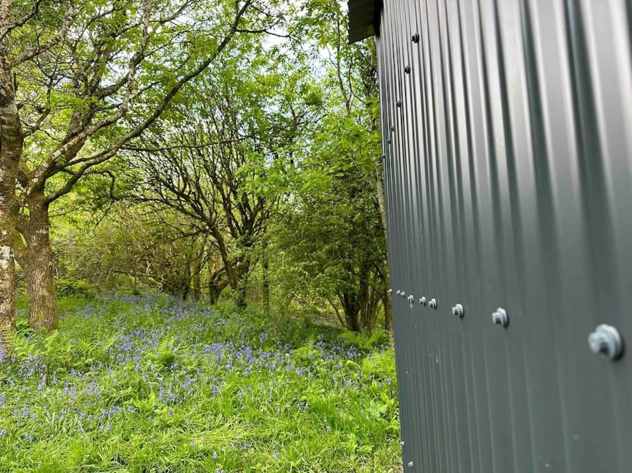Cornwall Woodland Shepherd'S Hut - Dennis Hut Bodmin Exterior photo
