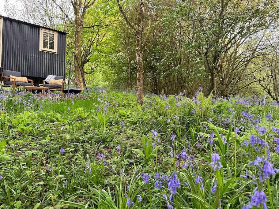 Cornwall Woodland Shepherd'S Hut - Dennis Hut Bodmin Exterior photo