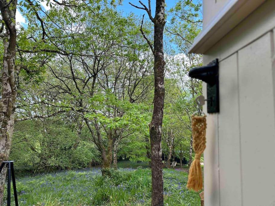 Cornwall Woodland Shepherd'S Hut - Dennis Hut Bodmin Exterior photo